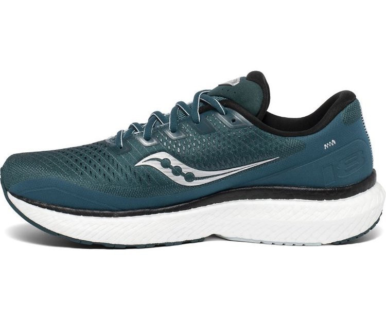 Buty Saucony Triumph 18 Męskie